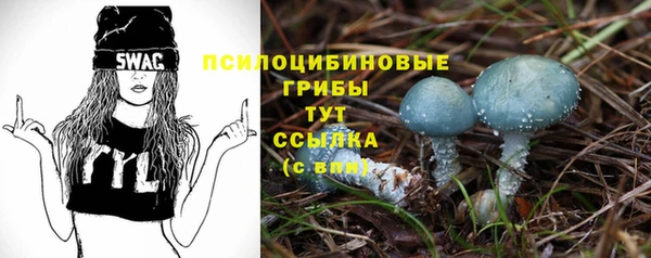 дмт Аркадак