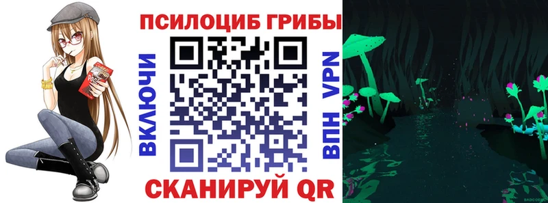 цена наркотик  гидра ССЫЛКА  Псилоцибиновые грибы Magic Shrooms  Бабаево 